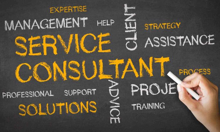 Consultancy Services